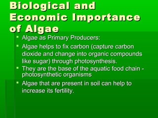 Biological andBiological and
Economic ImportanceEconomic Importance
of Algaeof Algae
 Algae as Primary Producers:Algae as Primary Producers:
 Algae helps to fix carbon (capture carbonAlgae helps to fix carbon (capture carbon
dioxide and change into organic compoundsdioxide and change into organic compounds
like sugar) through photosynthesis.like sugar) through photosynthesis.
 They are the base of the aquatic food chain -They are the base of the aquatic food chain -
photosynthetic organismsphotosynthetic organisms
 Algae that are present in soil can help toAlgae that are present in soil can help to
increase its fertility.increase its fertility.
 