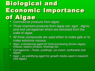 Biological andBiological and
Economic ImportanceEconomic Importance
of Algaeof Algae
 Commercial products from algae:Commercial products from algae:
 Three important products from algae are: agar , alginicThree important products from algae are: agar , alginic
acid and carrageenan which are extracted from theacid and carrageenan which are extracted from the
walls of algae.walls of algae.
 All three compounds are used either to make gels or toAll three compounds are used either to make gels or to
make solutions viscous.make solutions viscous.
 Algin- a thickening agent for food processing (brown algae),Algin- a thickening agent for food processing (brown algae),
cheese, bakery product, frostings etc.cheese, bakery product, frostings etc.
 Carrageenan – foods, puddings, ice cream, toothpaste (redCarrageenan – foods, puddings, ice cream, toothpaste (red
algae)algae)
 Agar – as solidifying agent for growth media used in researchAgar – as solidifying agent for growth media used in research
(red algae)(red algae)
 