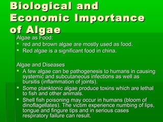 Biological andBiological and
Economic ImportanceEconomic Importance
of Algaeof Algae
Algae as Food:Algae as Food:
 red and brown algae are mostly used as food.red and brown algae are mostly used as food.
 Red algae is a significant food in china.Red algae is a significant food in china.
Algae and DiseasesAlgae and Diseases
 A few algae can be pathogenesis to humans in causingA few algae can be pathogenesis to humans in causing
systemic and subcutaneous infections as well assystemic and subcutaneous infections as well as
bursitis (inflammation of joints).bursitis (inflammation of joints).
 Some planktonic algae produce toxins which are lethalSome planktonic algae produce toxins which are lethal
to fish and other animals.to fish and other animals.
 Shell fish poisoning may occur in humans (bloom ofShell fish poisoning may occur in humans (bloom of
dinoflagellates). The victim experience numbing of lips,dinoflagellates). The victim experience numbing of lips,
tongue and fingure tips and in serious casestongue and fingure tips and in serious cases
respiratory failure can result.respiratory failure can result.
 