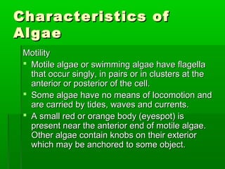 Characteristics ofCharacteristics of
AlgaeAlgae
MotilityMotility
 Motile algae or swimming algae have flagellaMotile alga...