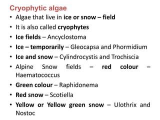 Cryophytic algae
• Algae that live in ice or snow – field
• It is also called cryophytes
• Ice fields – Ancyclostoma
• Ice – temporarily – Gleocapsa and Phormidium
• Ice and snow – Cylindrocystis and Trochiscia
• Alpine Snow fields – red colour –
Haematococcus
• Green colour – Raphidonema
• Red snow – Scotiella
• Yellow or Yellow green snow – Ulothrix and
Nostoc
 