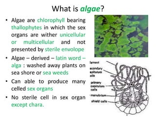 What is algae?
• Algae are chlorophyll bearing
thallophytes in which the sex
organs are wither unicellular
or multicellular and not
presented by sterile envolope
• Algae – derived – latin word –
alga : washed away plants on
sea shore or sea weeds
• Can able to produce many
celled sex organs
• No sterile cell in sex organ
except chara.
 
