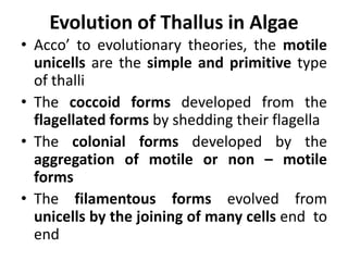 Evolution of Thallus in Algae
• Acco’ to evolutionary theories, the motile
unicells are the simple and primitive type
of thalli
• The coccoid forms developed from the
flagellated forms by shedding their flagella
• The colonial forms developed by the
aggregation of motile or non – motile
forms
• The filamentous forms evolved from
unicells by the joining of many cells end to
end
 