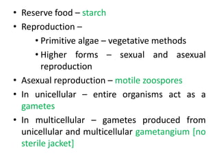 • Reserve food – starch
• Reproduction –
• Primitive algae – vegetative methods
• Higher forms – sexual and asexual
reproduction
• Asexual reproduction – motile zoospores
• In unicellular – entire organisms act as a
gametes
• In multicellular – gametes produced from
unicellular and multicellular gametangium [no
sterile jacket]
 