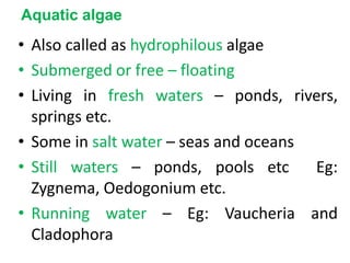 Aquatic algae
• Also called as hydrophilous algae
• Submerged or free – floating
• Living in fresh waters – ponds, rivers,
springs etc.
• Some in salt water – seas and oceans
• Still waters – ponds, pools etc Eg:
Zygnema, Oedogonium etc.
• Running water – Eg: Vaucheria and
Cladophora
 