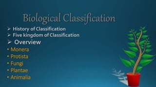  History of Classification
 Five kingdom of Classification
 Overview
• Monera
• Protista
• Fungi
• Plantae
• Animalia
 