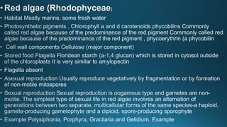 five kingdom classification