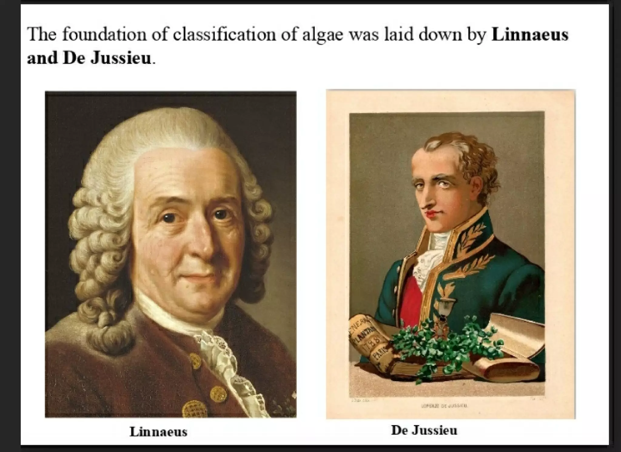 Algae and there classification based on different features, structure, biological systems.