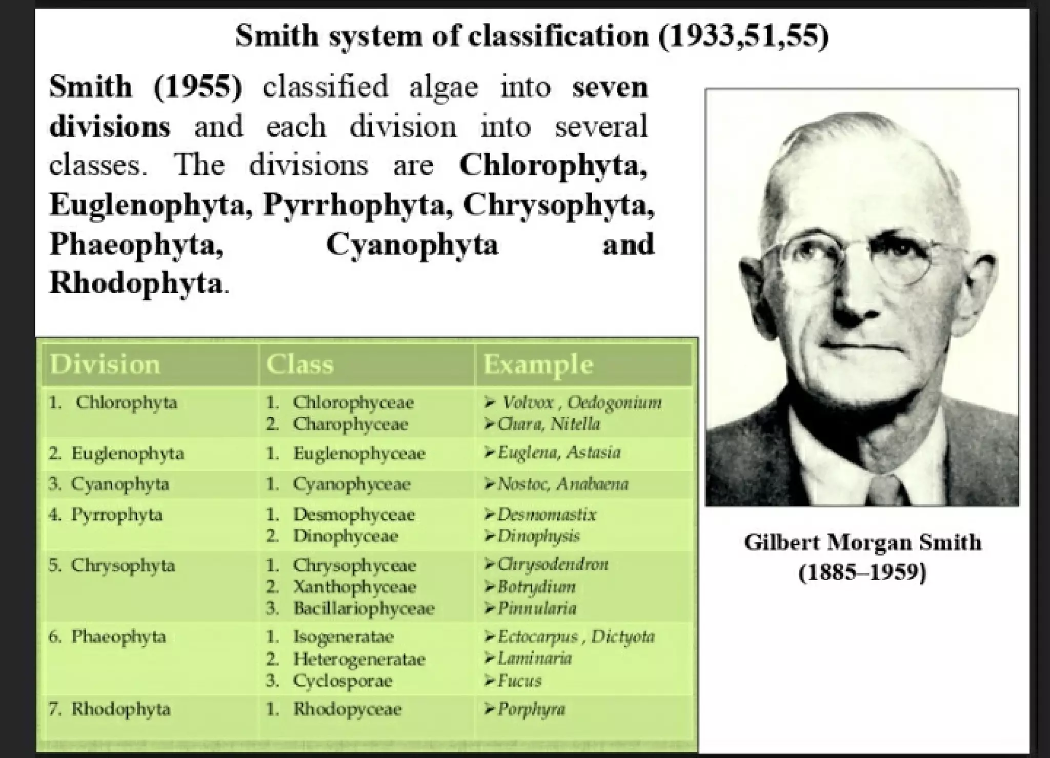 Algae and there classification based on different features, structure, biological systems.