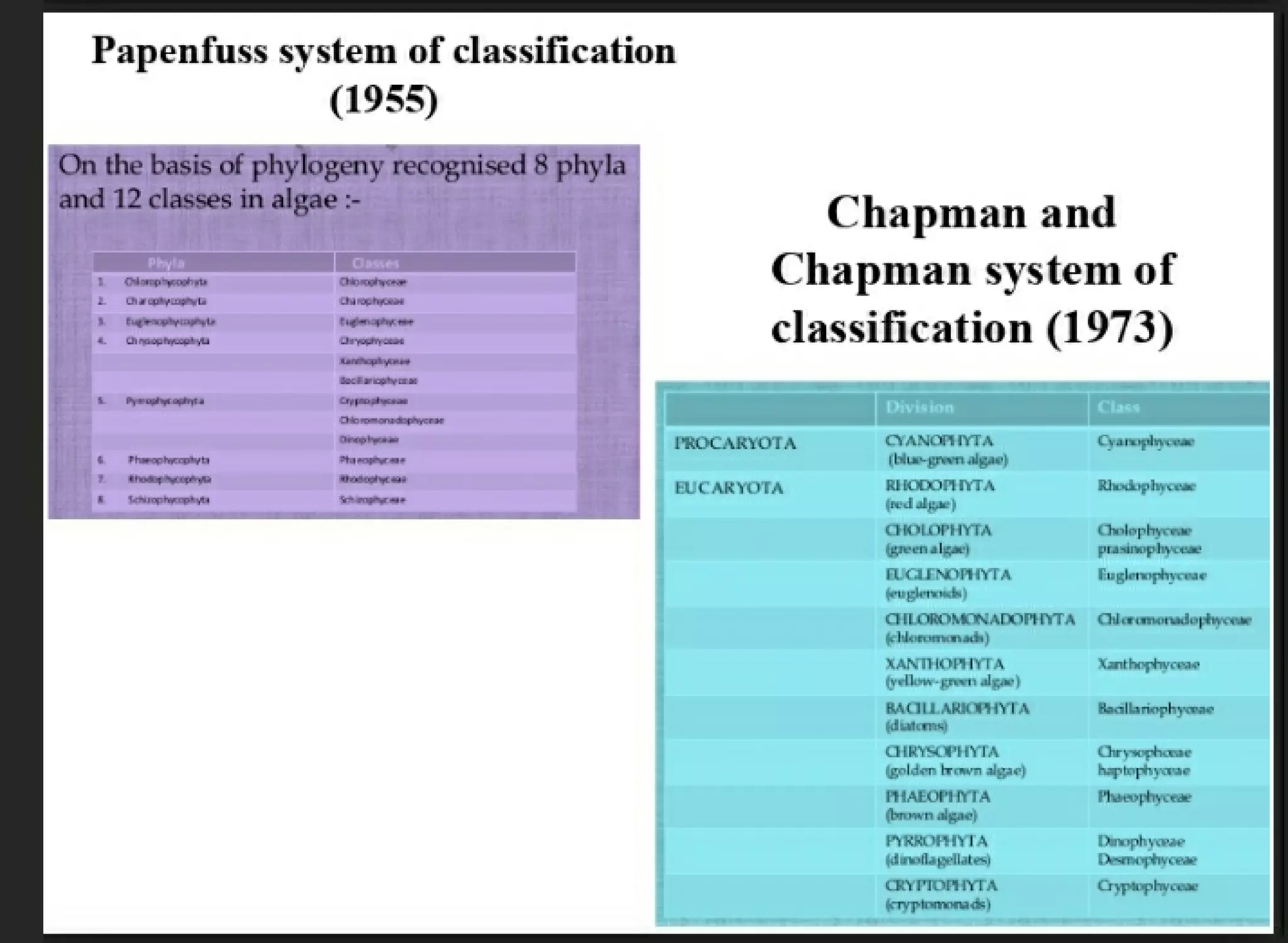 Algae and there classification based on different features, structure, biological systems.