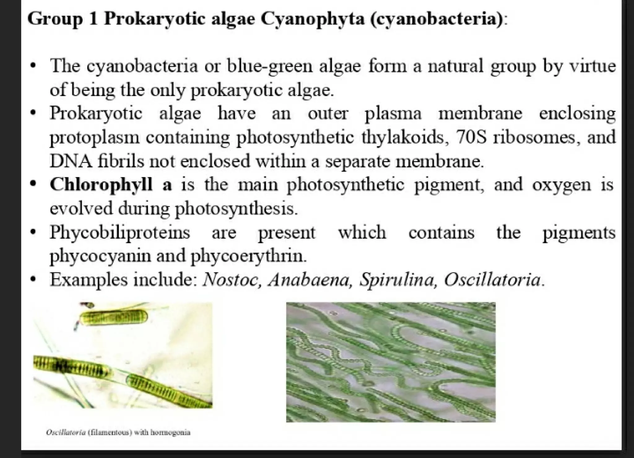 Algae and there classification based on different features, structure, biological systems.