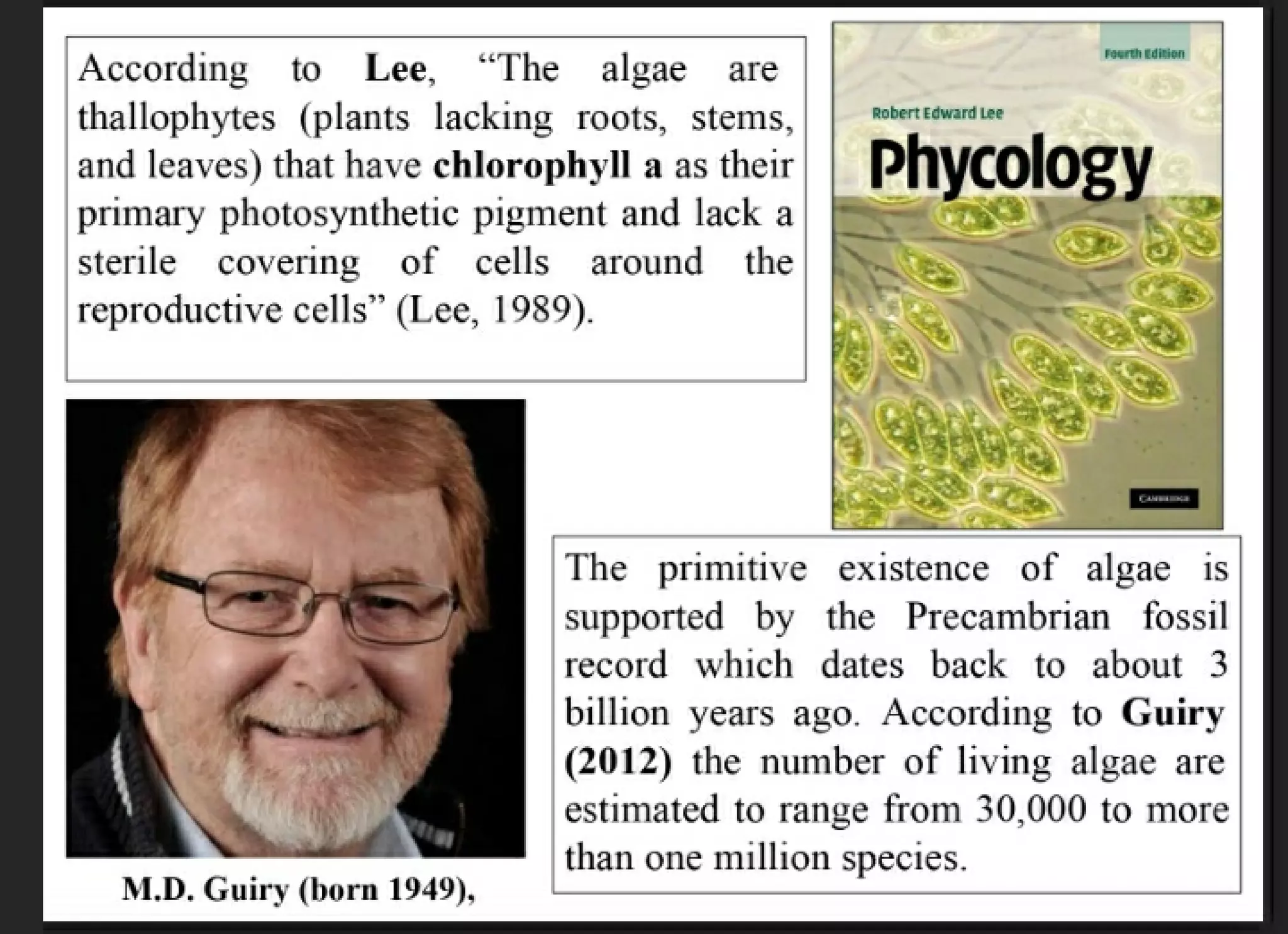 Algae and there classification based on different features, structure, biological systems.
