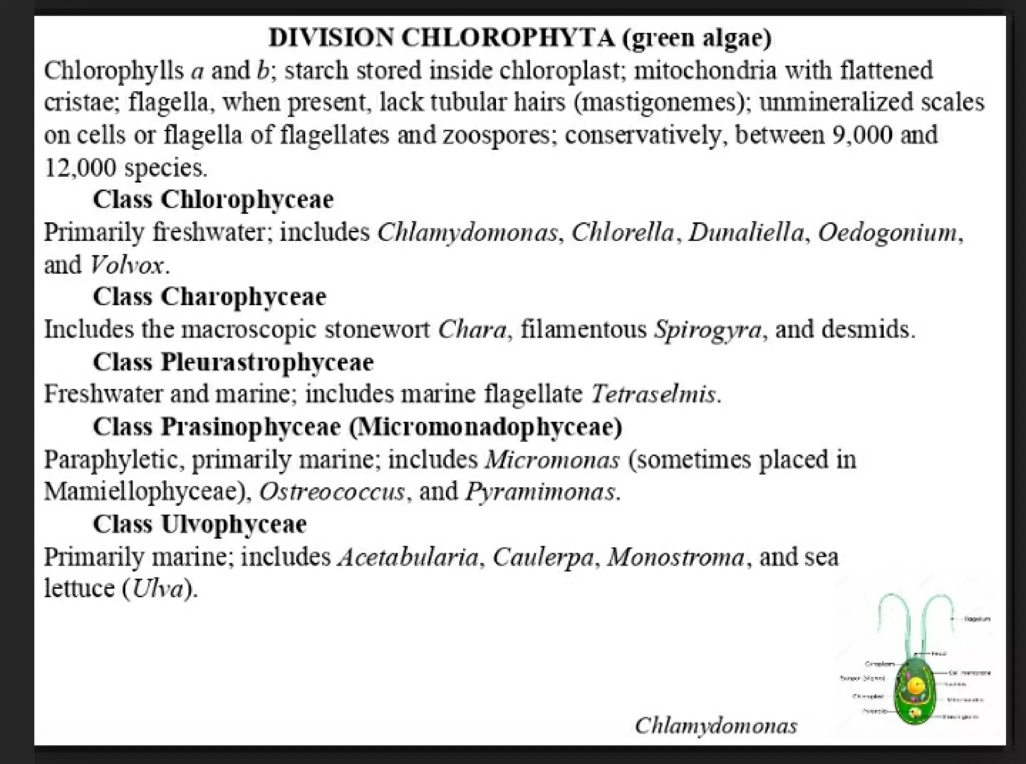 Algae and there classification based on different features, structure, biological systems.