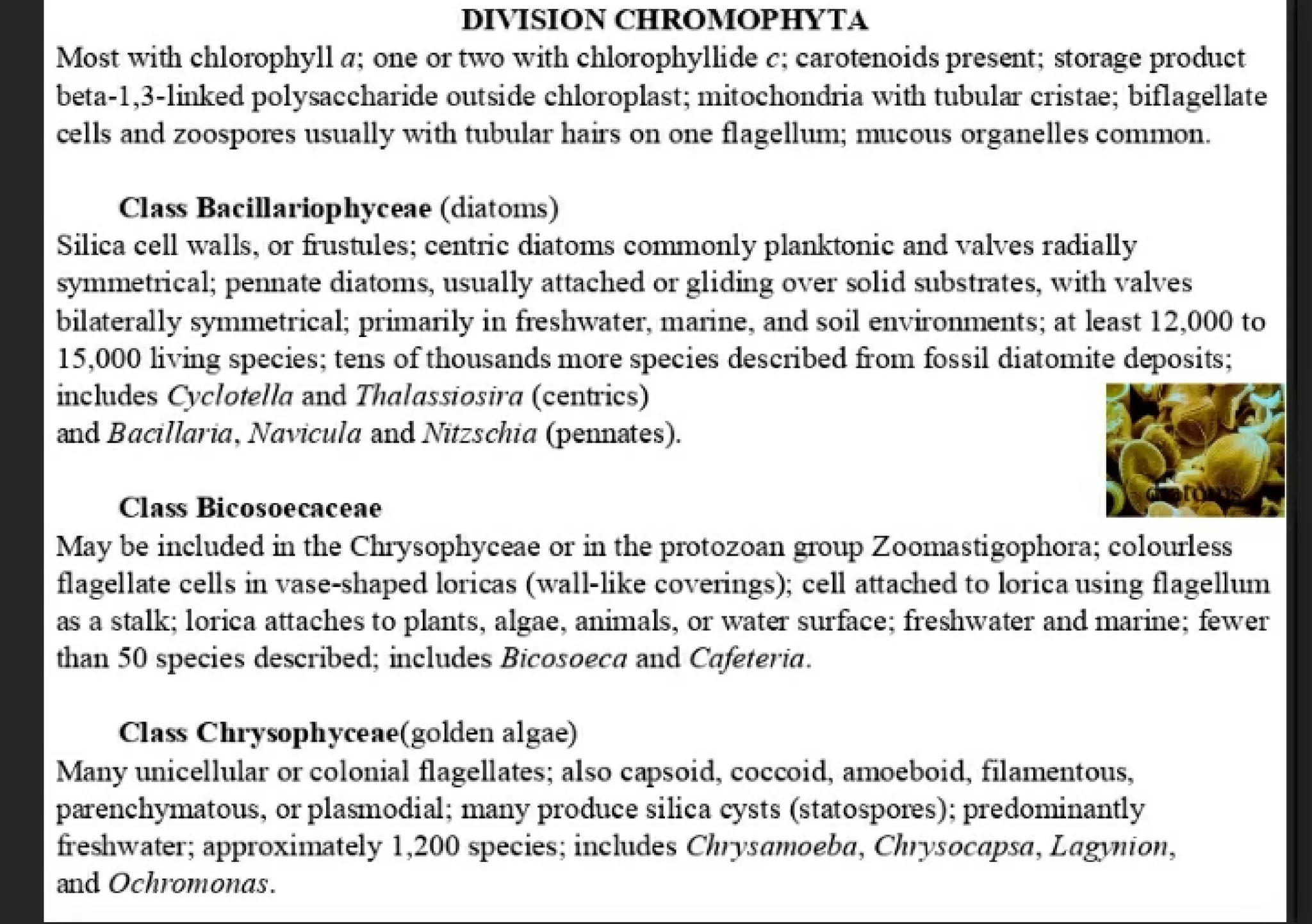 Algae and there classification based on different features, structure, biological systems.