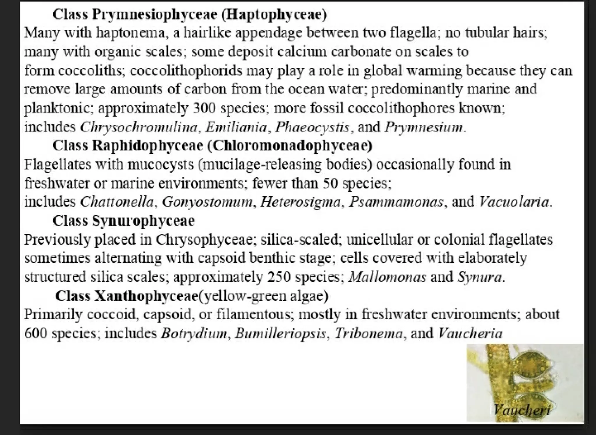Algae and there classification based on different features, structure, biological systems.