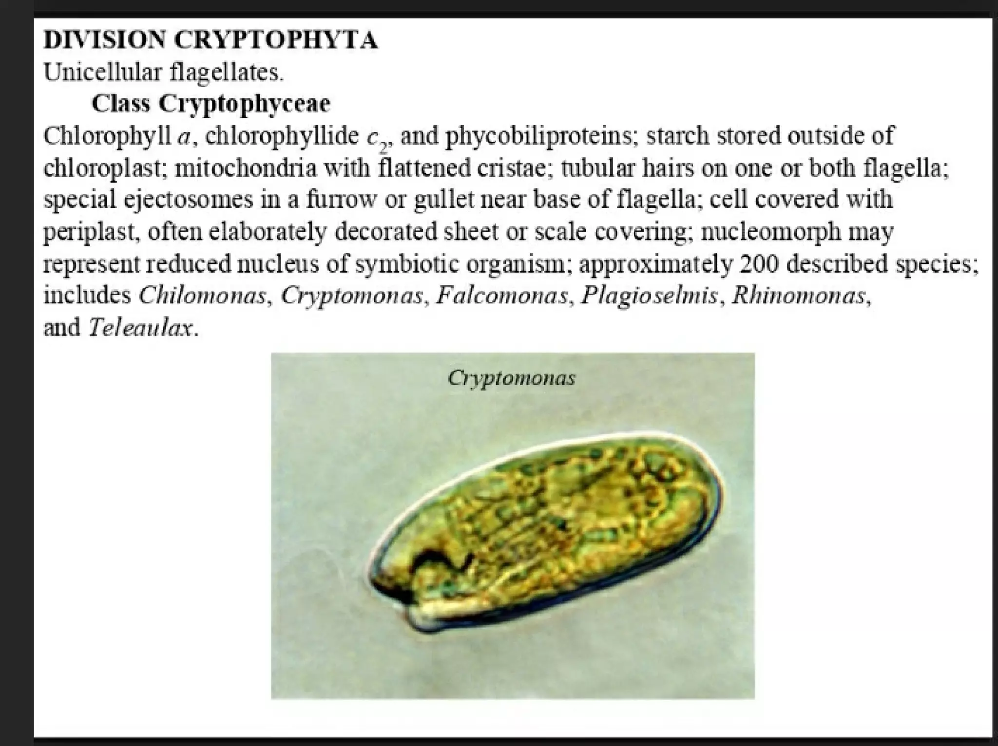 Algae and there classification based on different features, structure, biological systems.