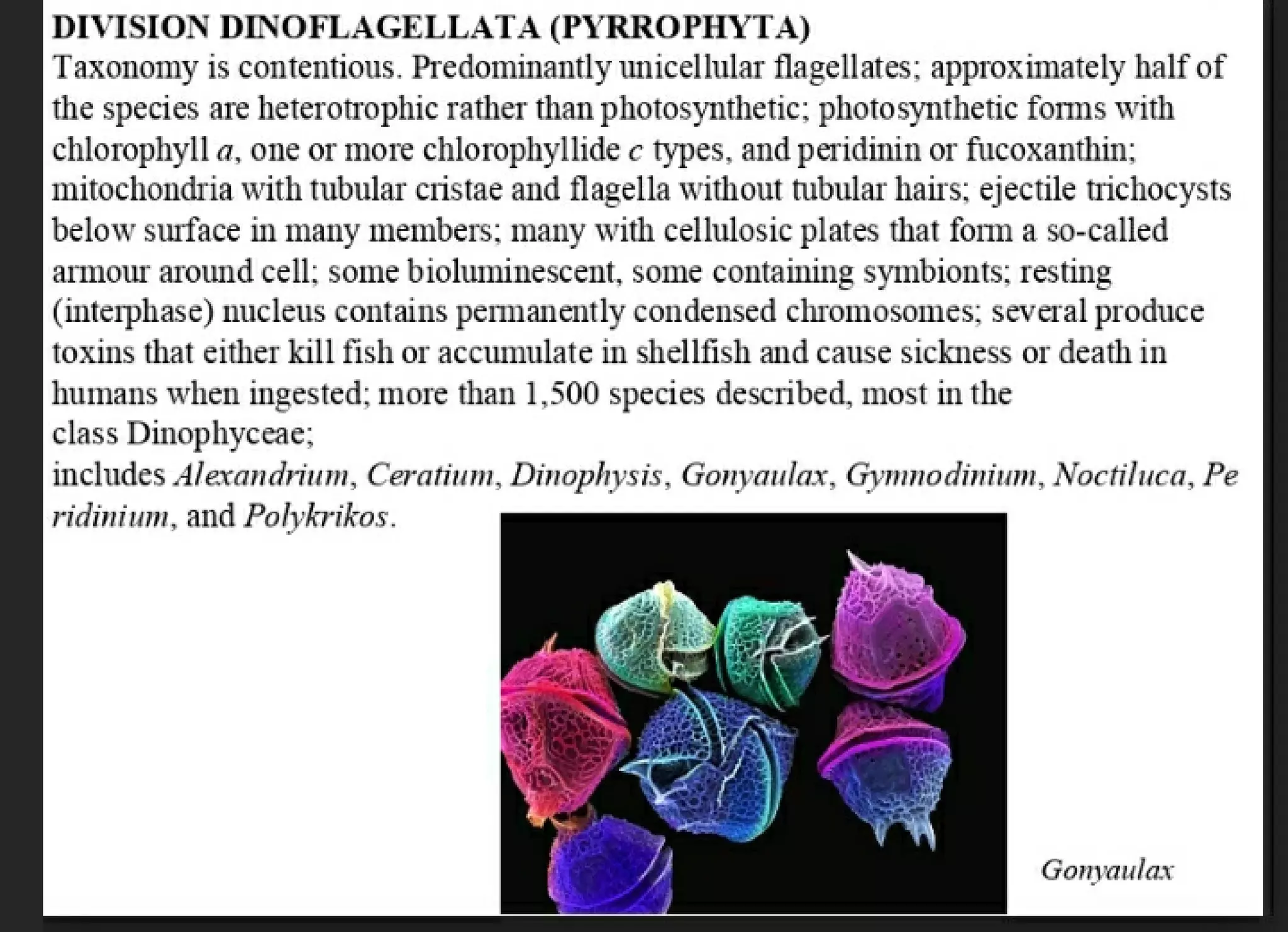 Algae and there classification based on different features, structure, biological systems.