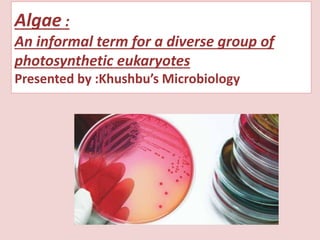 Algae :
An informal term for a diverse group of
photosynthetic eukaryotes
Presented by :Khushbu’s Microbiology
 