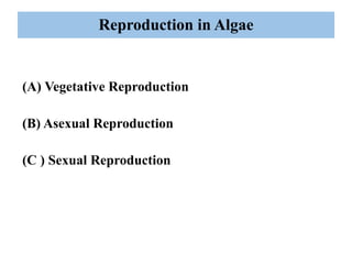 Reproduction in Algae
(A) Vegetative Reproduction
(B) Asexual Reproduction
(C ) Sexual Reproduction
 