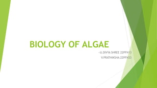 BIOLOGY OF ALGAE
~U.DIVYA SHREE 22PFN13
V.PRATHIKSHA 22PFN33
 