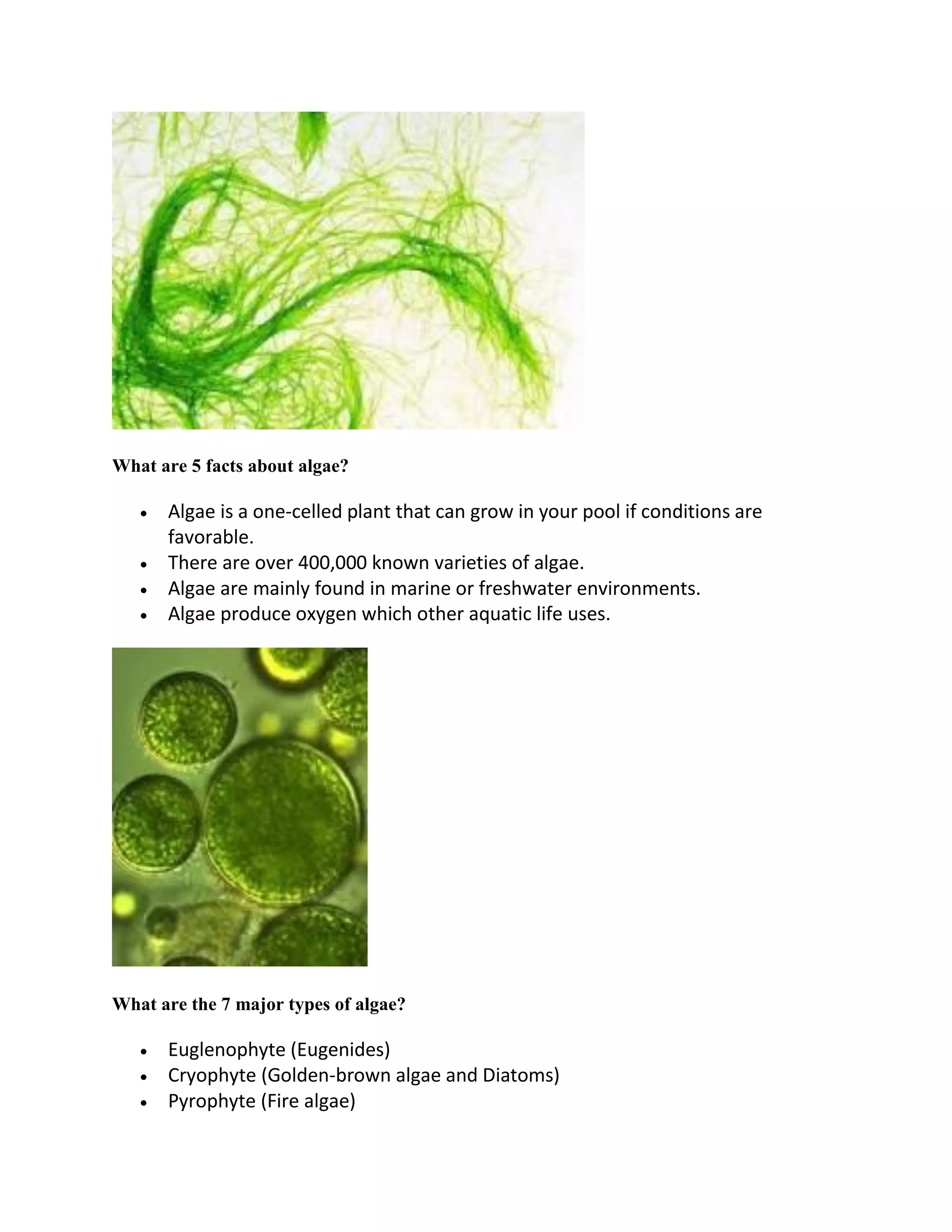 What are 5 facts about algae?
 Algae is a one-celled plant that can grow in your pool if conditions are
favorable.
 There are over 400,000 known varieties of algae.
 Algae are mainly found in marine or freshwater environments.
 Algae produce oxygen which other aquatic life uses.
What are the 7 major types of algae?
 Euglenophyte (Eugenides)
 Cryophyte (Golden-brown algae and Diatoms)
 Pyrophyte (Fire algae)
 