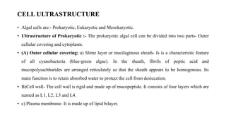 CELL ULTRASTRUCTURE
• Algal cells are:- Prokaryotic, Eukaryotic and Mesokaryotic.
• Ultrastructure of Prokaryotic :- The prokaryotic algal cell can be divided into two parts- Outer
cellular covering and cytoplasm.
• (A) Outer cellular covering: a) Slime layer or mucilaginous sheath- Is is a characteristic feature
of all cyanobacteria (blue-green algae). In the sheath, fibrils of peptic acid and
mucopolysachharides are arranged reticulately so that the sheath appears to be homogenous. Its
main function is to retain absorbed water to protect the cell from desiccation.
• B)Cell wall- The cell wall is rigid and made up of mucopeptide. It consists of four layers which are
named as L1, L2, L3 and L4.
• c) Plasma membrane- It is made up of lipid bilayer.
 