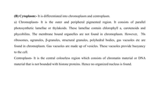 (B) Cytoplasm:- It is differentiated into chromoplasm and centroplasm.
a) Chromoplasm- It is the outer and peripheral pigmented region. It consists of parallel
photosynthetic lamellae or thylakoids. These lamellae contain chlorophyll a, carotenoids and
phycobilins. The membrane bound organelles are not found in chromoplasm. However, 70s
ribosomes, αgranules, β-granules, structural granules, polyhedral bodies, gas vacuoles etc are
found in chromoplasm. Gas vacuoles are made up of vesicles. These vacuoles provide buoyancy
to the cell.
Centroplasm- It is the central colourless region which consists of chromatin material or DNA
material that is not bounded with histone proteins. Hence no organized nucleus is found.
 