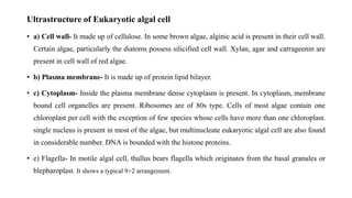 Ultrastructure of Eukaryotic algal cell
• a) Cell wall- It made up of cellulose. In some brown algae, alginic acid is present in their cell wall.
Certain algae, particularly the diatoms possess silicified cell wall. Xylan, agar and carrageenin are
present in cell wall of red algae.
• b) Plasma membrane- It is made up of protein lipid bilayer.
• c) Cytoplasm- Inside the plasma membrane dense cytoplasm is present. In cytoplasm, membrane
bound cell organelles are present. Ribosomes are of 80s type. Cells of most algae contain one
chloroplast per cell with the exception of few species whose cells have more than one chloroplast.
single nucleus is present in most of the algae, but multinucleate eukaryotic algal cell are also found
in considerable number. DNA is bounded with the histone proteins.
• e) Flagella- In motile algal cell, thallus bears flagella which originates from the basal granules or
blepharoplast. It shows a typical 9+2 arrangement.
 