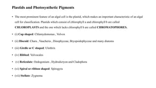 Plastids and Photosynthetic Pigments
• The most prominent feature of an algal cell is the plastid, which makes an important characteristic of an algal
cell for classification. Plastids which consist of chlorophyll a and chlorophyll b are called
CHLOROPLASTS and the one which lacks chlorophyll b are called CHROMATOPHORES.
• (i) Cup shaped: Chlamydomonas , Volvox
• (ii) Discoid: Chara , Vaucheria , Dinophyceae, Bryopsidophyceae and many diatoms
• (iii) Girdle or C shaped: Ulothrix
• (iv) Ribbed: Volvocales
• (v) Reticulate: Oedogonium , Hydrodictyon and Cladophora
• (vi) Spiral or ribbon shaped: Spirogyra
• (vii) Stellate: Zygnema
 