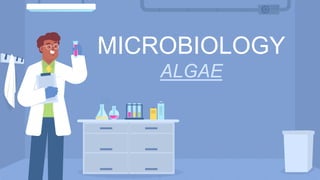 MICROBIOLOGY
ALGAE
 