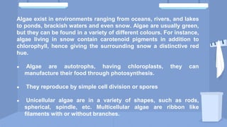 Algae exist in environments ranging from oceans, rivers, and lakes
to ponds, brackish waters and even snow. Algae are usually green,
but they can be found in a variety of different colours. For instance,
algae living in snow contain carotenoid pigments in addition to
chlorophyll, hence giving the surrounding snow a distinctive red
hue.
● Algae are autotrophs, having chloroplasts, they can
manufacture their food through photosynthesis.
● They reproduce by simple cell division or spores
● Unicellular algae are in a variety of shapes, such as rods,
spherical, spindle, etc. Multicellular algae are ribbon like
filaments with or without branches.
 