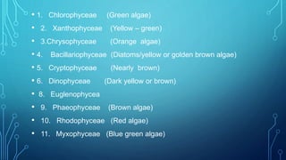 • 1. Chlorophyceae (Green algae)
• 2. Xanthophyceae (Yellow – green)
• 3.Chrysophyceae (Orange algae)
• 4. Bacillariophyceae (Diatoms/yellow or golden brown algae)
• 5. Cryptophyceae (Nearly brown)
• 6. Dinophyceae (Dark yellow or brown)
• 8. Euglenophycea
• 9. Phaeophyceae (Brown algae)
• 10. Rhodophyceae (Red algae)
• 11. Myxophyceae (Blue green algae)
 
