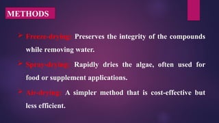 DOWNSTREAM PROCESS OF MICROALGAE / ALGAE | PPTX