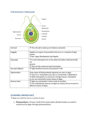 Cell structure: Eukaryotic
Cell wall The cell wall is made up of cellulose and pectin.
Flagella Flagella are organs of locomotion that occur in a majority of algal
classes.
Red -algae (Rhodophyta) lack flagella.
Pyrenoid In each chloroplast one or few spherical bodies called pyrenoids
are
present.
They are the centres of starch formation.
Eye spot (Stigma) Light sensitive structure.(not present in all)
Pigmentation Three types of Photosynthetic pigments are seen in algae.
They are 1. Chlorphylls (a,b,c,d,e) 2. Carotenoids 3. Biliproteins.
While chlorophyll a is universal in all algal classes, chlorophyll
b,c,d,e are restricted to some classes of algae.
Reserve food Algae are autotrophic in their mode of nutrition.
The carbohydrate reserves of algae are various forms of starch in
different classes of Algae
ECONOMIC IMPORTANCE
Algae are useful to man in a variety of ways.
1. Photosynthesis: At least a half of the total carbon dioxide fixation on earth is
carried out by algae through photosynthesis.
 