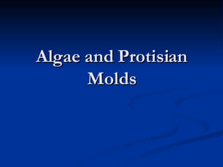 Algae and Protisian Molds 