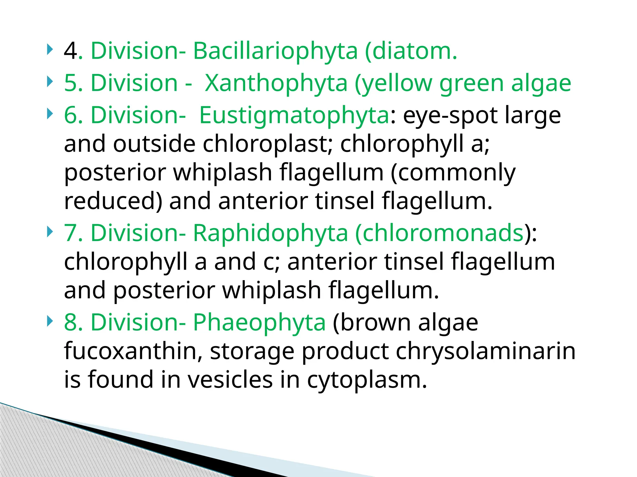  4. Division- Bacillariophyta (diatom.
 5. Division - Xanthophyta (yellow green algae
 6. Division- Eustigmatophyta: eye-spot large
and outside chloroplast; chlorophyll a;
posterior whiplash flagellum (commonly
reduced) and anterior tinsel flagellum.
 7. Division- Raphidophyta (chloromonads):
chlorophyll a and c; anterior tinsel flagellum
and posterior whiplash flagellum.
 8. Division- Phaeophyta (brown algae
fucoxanthin, storage product chrysolaminarin
is found in vesicles in cytoplasm.
 