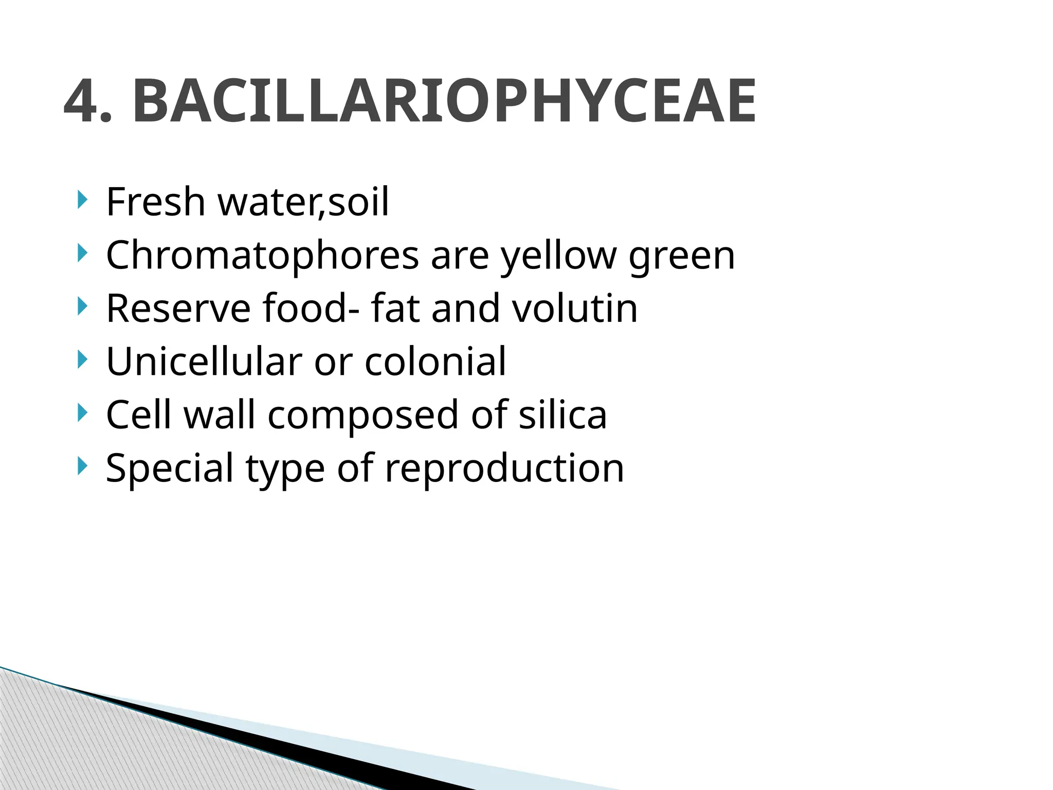  Fresh water,soil
 Chromatophores are yellow green
 Reserve food- fat and volutin
 Unicellular or colonial
 Cell wall composed of silica
 Special type of reproduction
4. BACILLARIOPHYCEAE
 