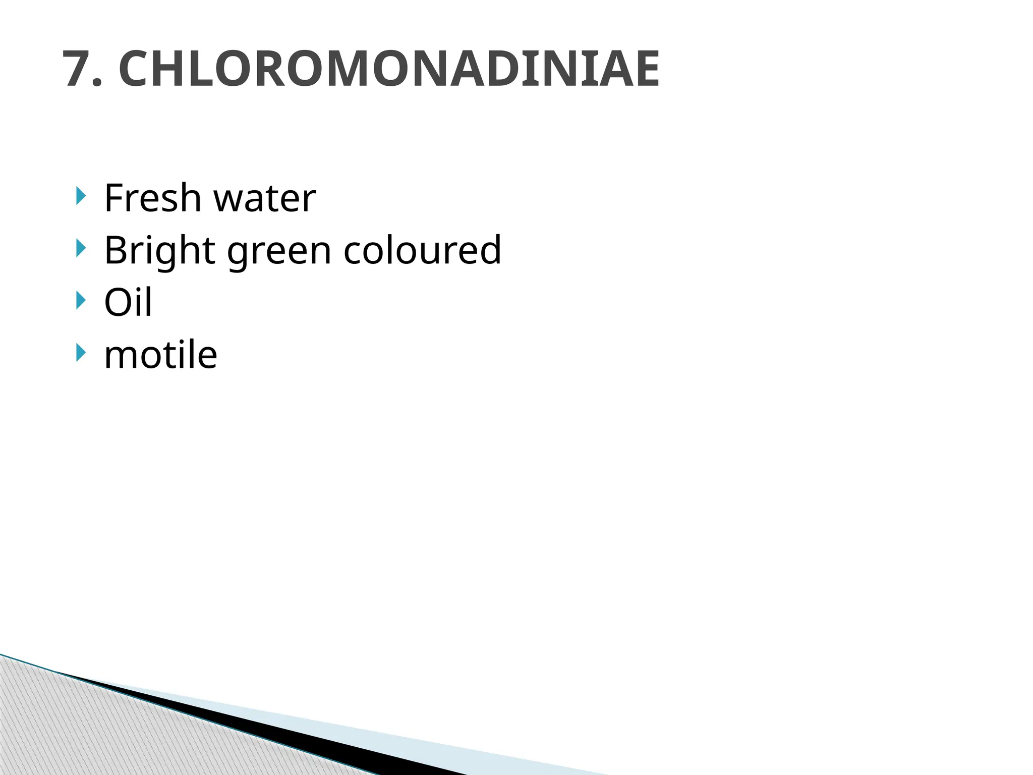  Fresh water
 Bright green coloured
 Oil
 motile
7. CHLOROMONADINIAE
 
