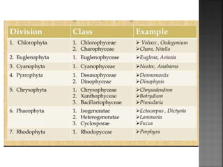 Algae-General-Characters.pptx