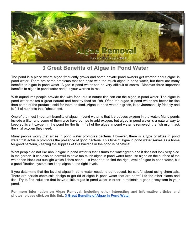 3 Great Benefits of Algae in Pond Water
