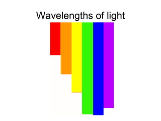 Wavelengths of light 
