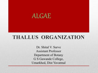ALGAE
THALLUS ORGANIZATION
Dr. Shital V. Surve
Assistant Professor
Department of Botany
G S Gawande College,
Umarkhed, Dist Yavatmal
 