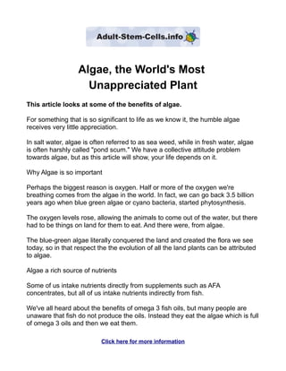Algae, the World's Most
                    Unappreciated Plant
This article looks at some of the benefits of algae.

For something that is so significant to life as we know it, the humble algae
receives very little appreciation.

In salt water, algae is often referred to as sea weed, while in fresh water, algae
is often harshly called "pond scum." We have a collective attitude problem
towards algae, but as this article will show, your life depends on it.

Why Algae is so important

Perhaps the biggest reason is oxygen. Half or more of the oxygen we're
breathing comes from the algae in the world. In fact, we can go back 3.5 billion
years ago when blue green algae or cyano bacteria, started phytosynthesis.

The oxygen levels rose, allowing the animals to come out of the water, but there
had to be things on land for them to eat. And there were, from algae.

The blue-green algae literally conquered the land and created the flora we see
today, so in that respect the the evolution of all the land plants can be attributed
to algae.

Algae a rich source of nutrients

Some of us intake nutrients directly from supplements such as AFA
concentrates, but all of us intake nutrients indirectly from fish.

We've all heard about the benefits of omega 3 fish oils, but many people are
unaware that fish do not produce the oils. Instead they eat the algae which is full
of omega 3 oils and then we eat them.

                           Click here for more information
 