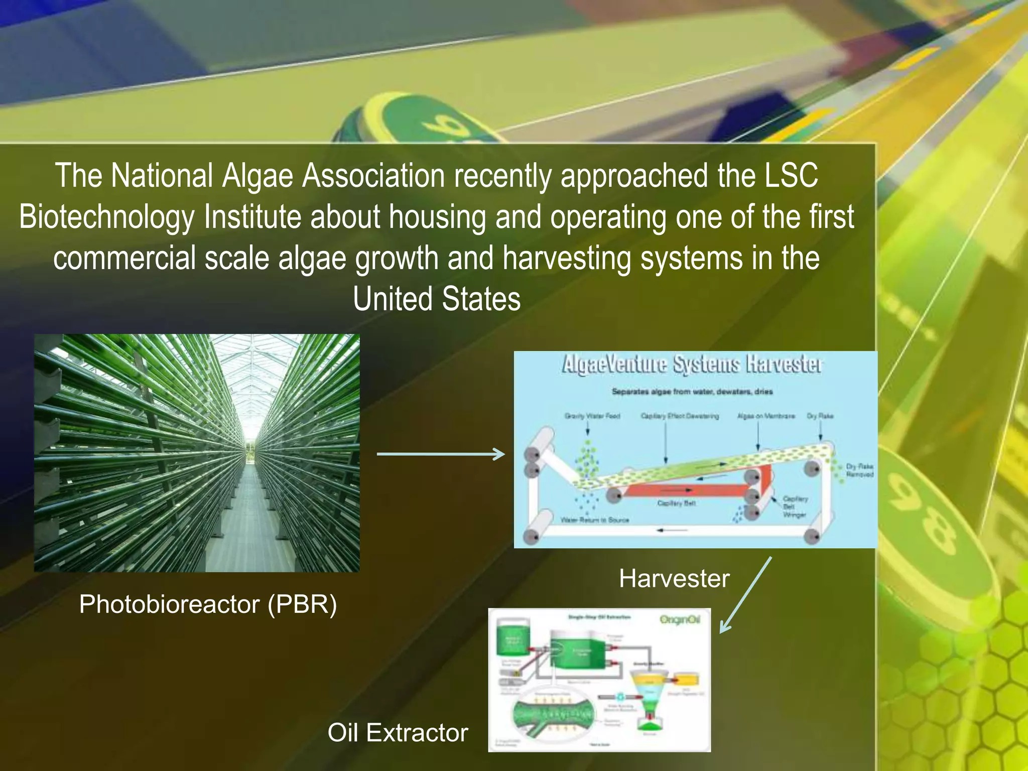 The National Algae Association recently approached the LSC Biotechnology Institute about housing and operating one of the first commercial scale algae growth and harvesting systems in the United StatesHarvesterPhotobioreactor (PBR)Oil Extractor