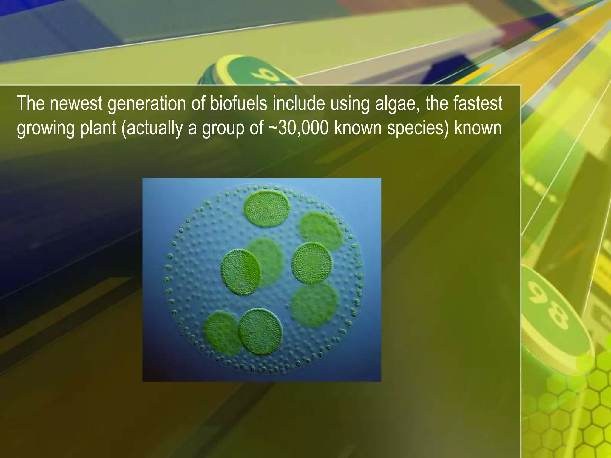 The newest generation of biofuels include using algae, the fastest growing plant (actually a group of ~30,000 known species) known