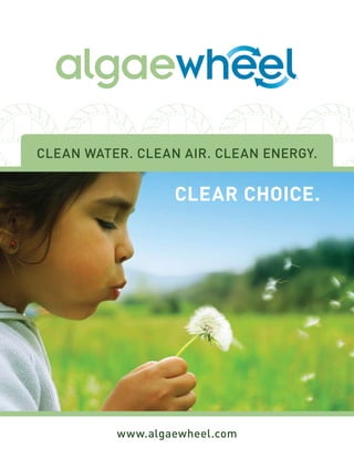 clean water. clean air. clean energy.
www.algaewheel.com
clear choice.
 