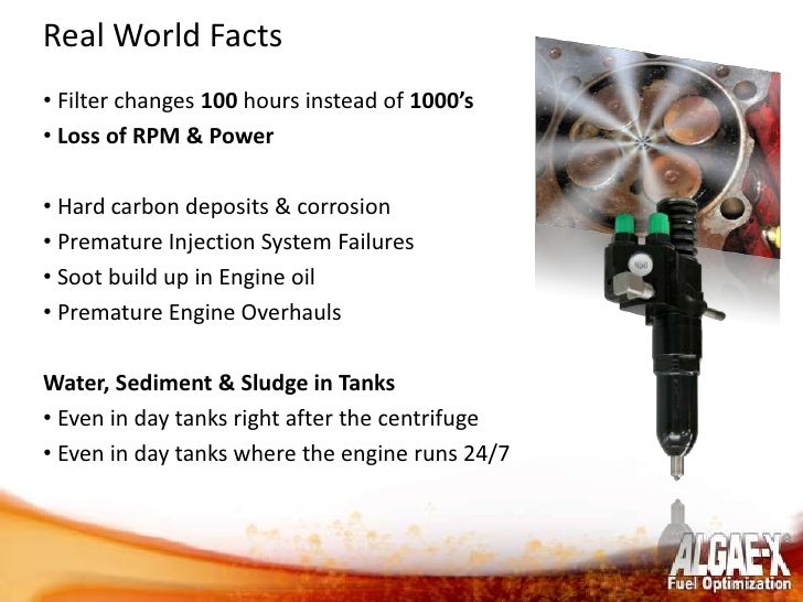Algae x fuel optimization & maintenance