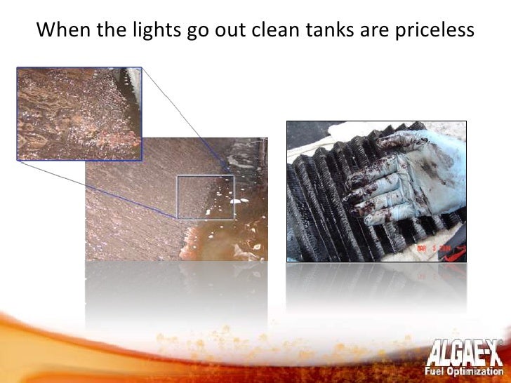 Algae x fuel optimization & maintenance