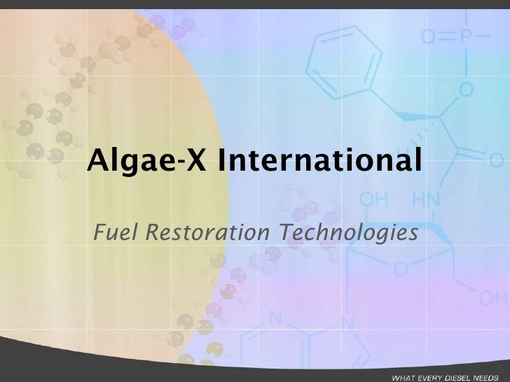 Algae x general presentation