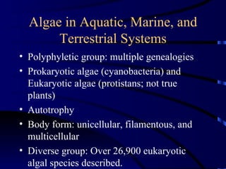 Algae in Aquatic, Marine, and
       Terrestrial Systems
• Polyphyletic group: multiple genealogies
• Prokaryotic algae (cyanobacteria) and
  Eukaryotic algae (protistans; not true
  plants)
• Autotrophy
• Body form: unicellular, filamentous, and
  multicellular
• Diverse group: Over 26,900 eukaryotic
  algal species described.
 